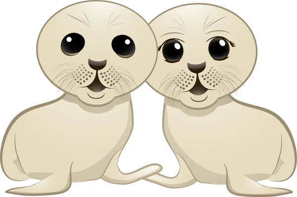 Baby seal couple — Stock Vector