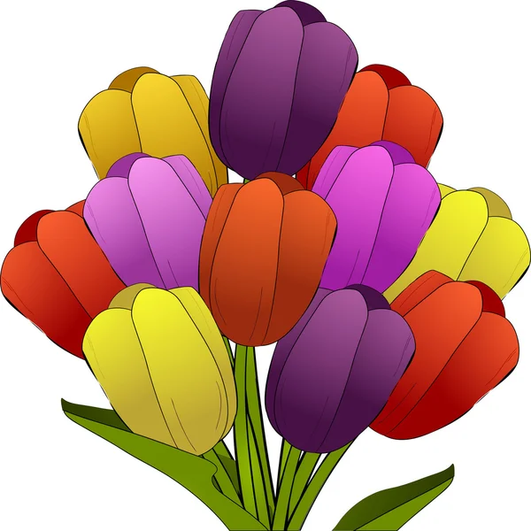 Mazzo di tulipani — Vettoriale Stock