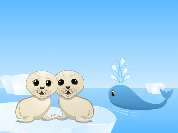 Focas y ballenas — Vector de stock