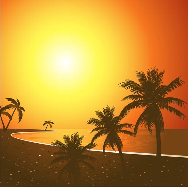 Pôr-do-sol tropical —  Vetores de Stock