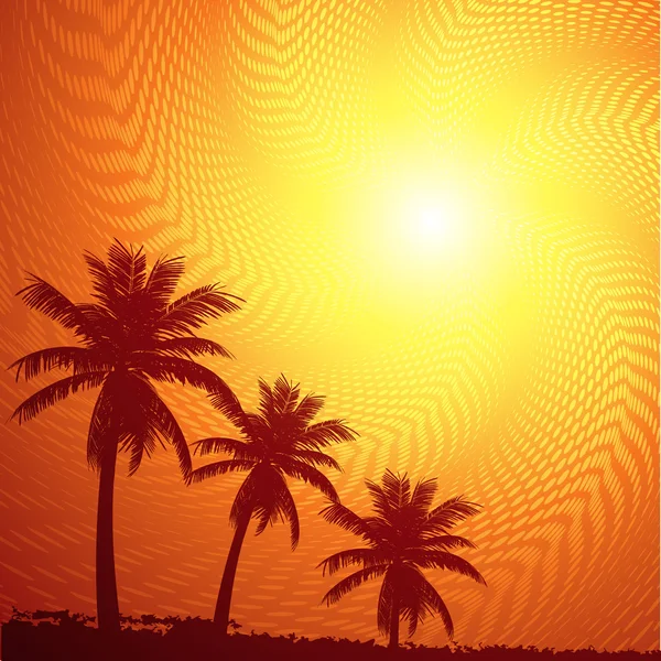 Tropisk solnedgång himlen och palm träd — Stock vektor