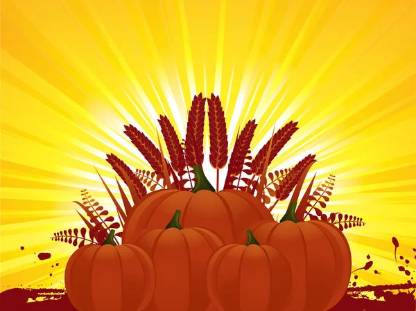 Autumn pumpkins and corn — Stock Vector