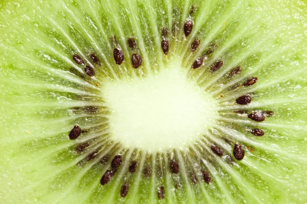 Macro shot of kiwi fruit — Stock Photo, Image