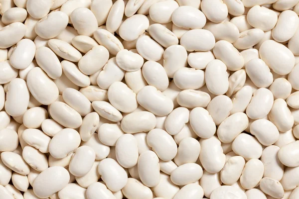 White beans background — Stock Photo, Image