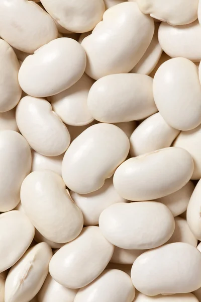White beans background — Stock Photo, Image