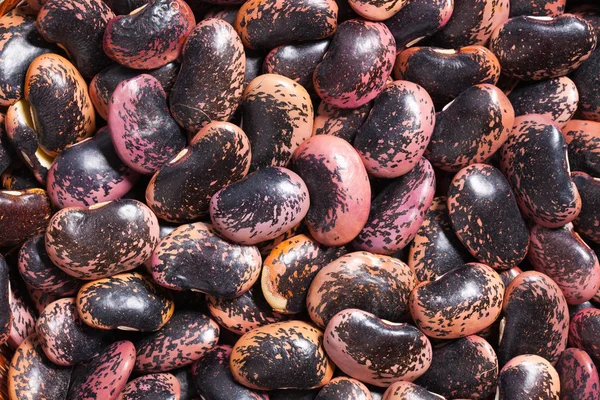 Barevné fazole pozadí — Stock fotografie