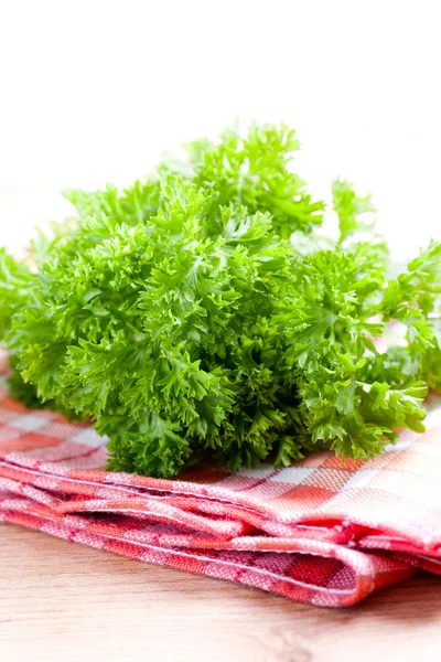 Green parsley — Stock Photo, Image