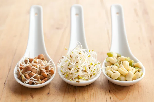 stock image Macrobiotic food