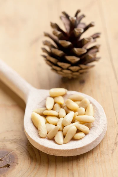 stock image The pine nuts