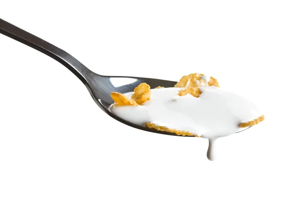 Cornflakes on the spoon with milk — Stock Photo, Image