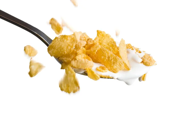 Falling cornflakes on the spoon with milk Stock Photo