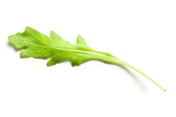 Arugula leaves — Stock Photo, Image