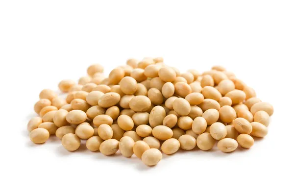 白い背景の上の大豆 — ストック写真