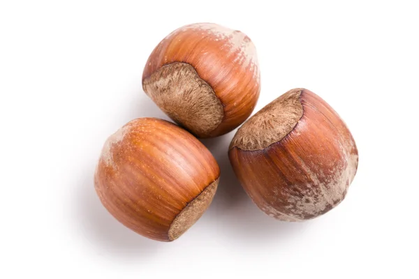 Three hazelnuts — Stock Photo, Image