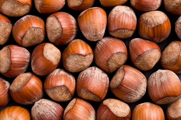 Pozadí lískové ořechy — Stock fotografie
