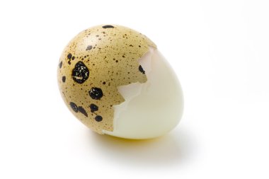 Boiled quail egg clipart