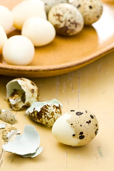 Keitetyt viiriäisen munat — kuvapankkivalokuva