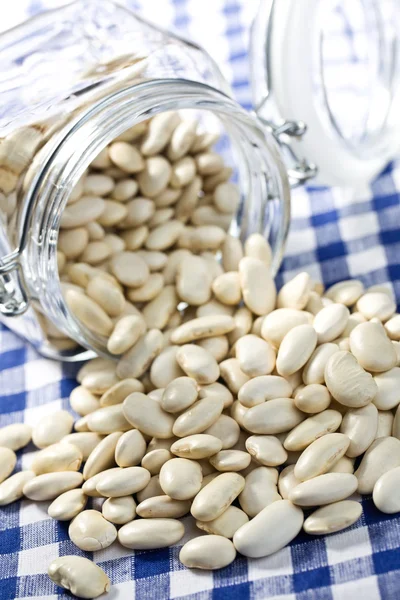 White beans in glass jar — Stock Photo, Image