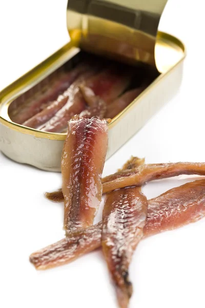 Anchovies fillets in tin can — Stock Photo, Image