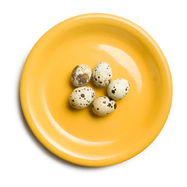 Ovos de codorna na placa amarela — Fotografia de Stock