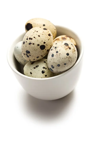 Ovos de codorna em tigela no fundo branco — Fotografia de Stock