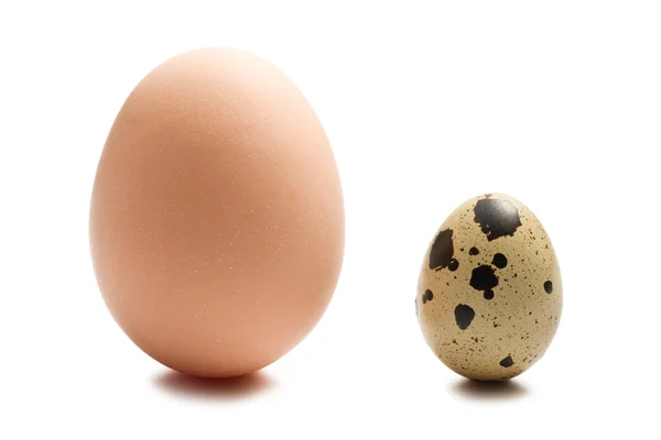 Kip en kwartel eieren op witte achtergrond — Stockfoto