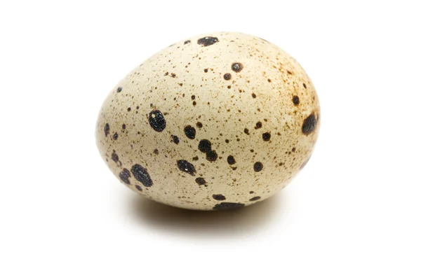 Перепелиное яйцо на белом фоне — стоковое фото