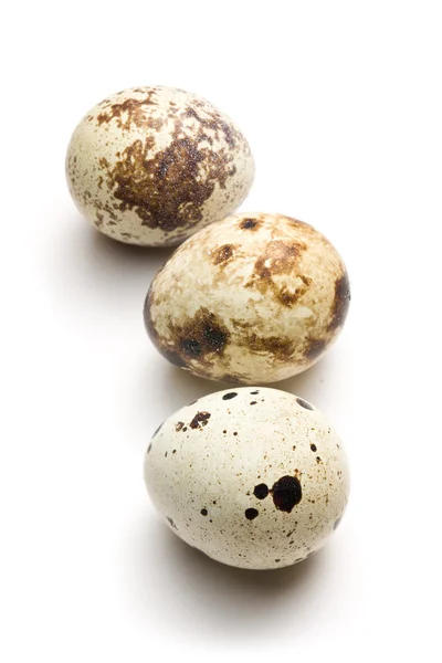 Перепелиные яйца на белом фоне — стоковое фото