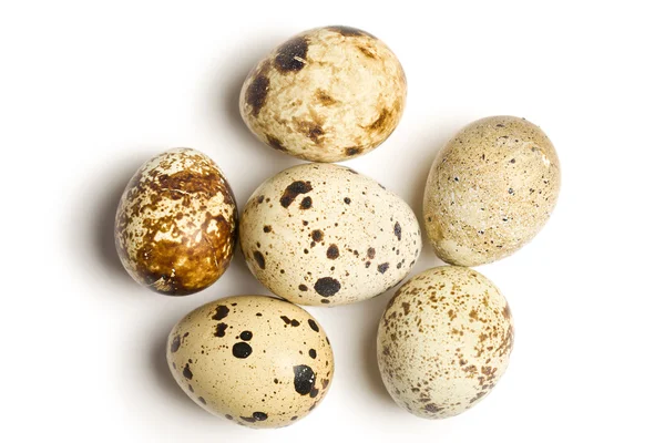 Ovos de codorna no fundo branco — Fotografia de Stock