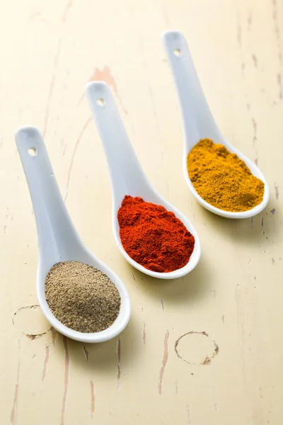 Various spicy powder — Stock Photo, Image