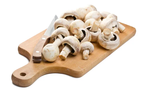 stock image Button mushrooms