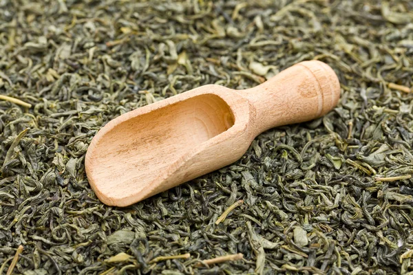 Folhas de chá verde — Fotografia de Stock