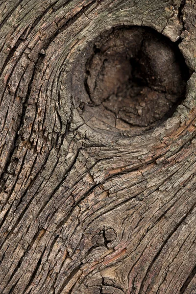 古い木製パターン — ストック写真