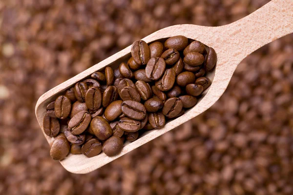Granos de café en cucharada de madera — Foto de Stock
