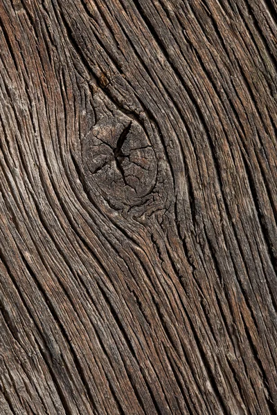 老木模式 — 图库照片