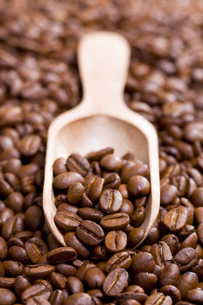 Kaffebönor på trä scoop — Stockfoto