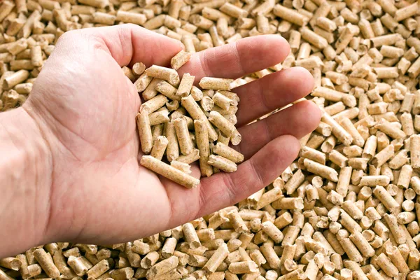 Wooden pellet .ecological heating — Stock Photo, Image