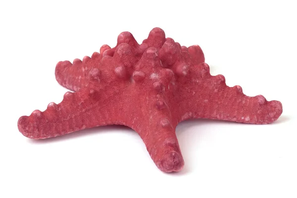 Red Starfish — Stock Photo, Image