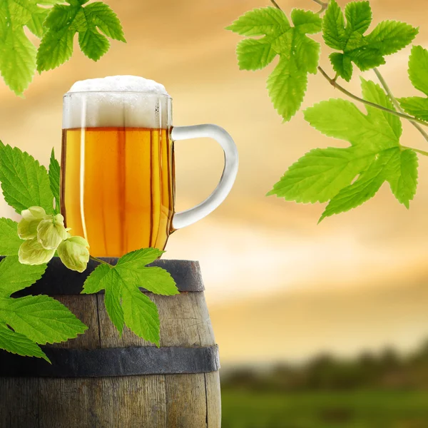 Beer and hop plant in retro style — Stok fotoğraf