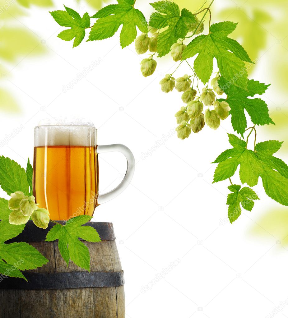 Beer and hops, isolated