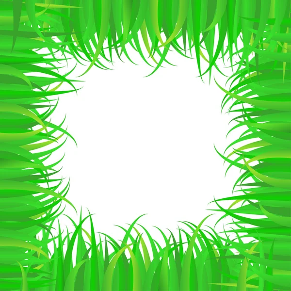 Рамка зеленой травы — стоковое фото