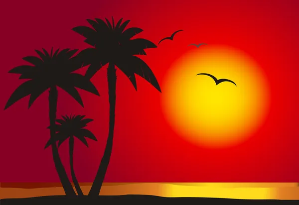 Ηλιοβασίλεμα στην παραλία με τους φοίνικες — Διανυσματικό Αρχείο