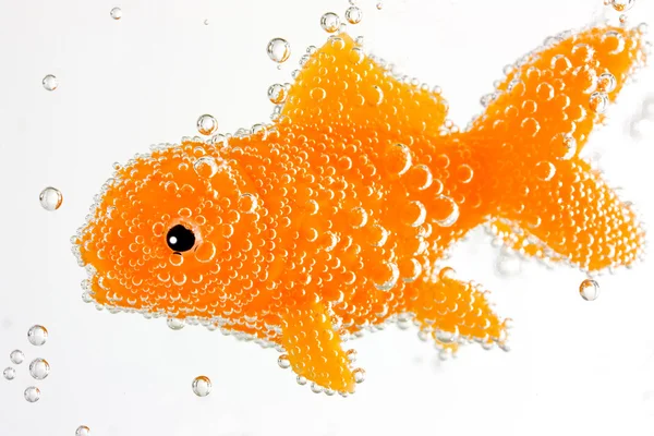 Złota rybka pod wodą z bąbelkami — Zdjęcie stockowe