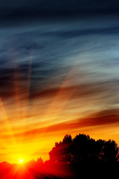Puesta de sol ardiente en la noche sobre una línea de árboles — Foto de Stock