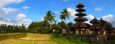 Indonesian landscape, Bali clipart