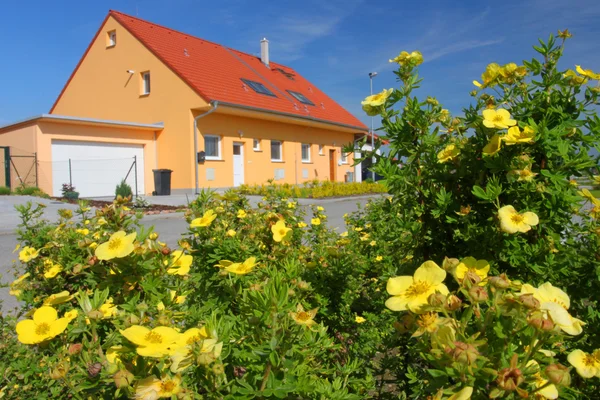 꽃 들 사이에서 주택 — 스톡 사진