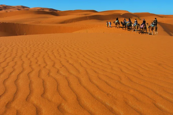 Desert adventure — Stock Photo, Image
