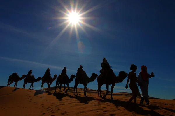 사막 모험 — 스톡 사진