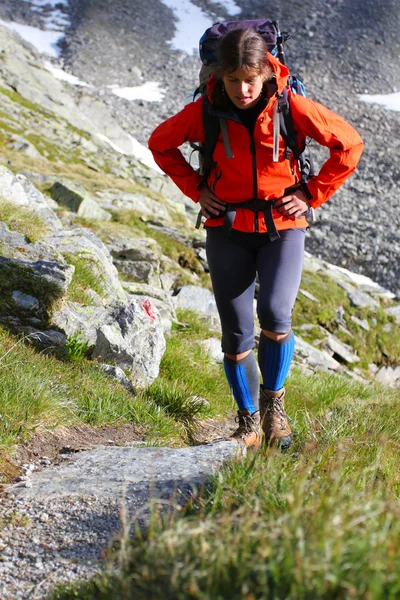 Young woman hiker — Stock Photo, Image
