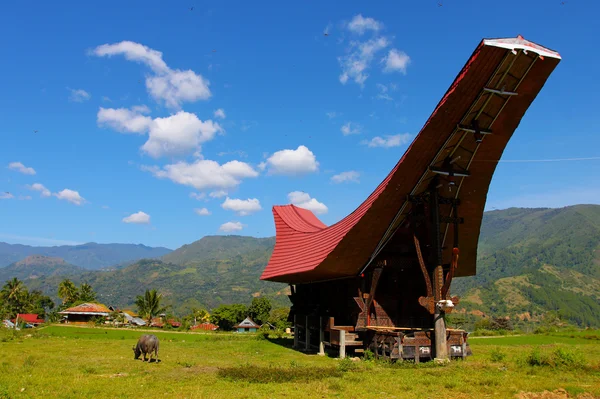 Região de Tana Toraja, Sulawesi, Indonésia — Fotografia de Stock
